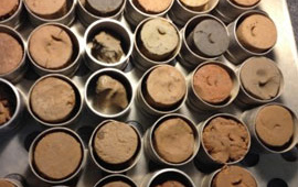 Грунты (в т.ч. почвы)